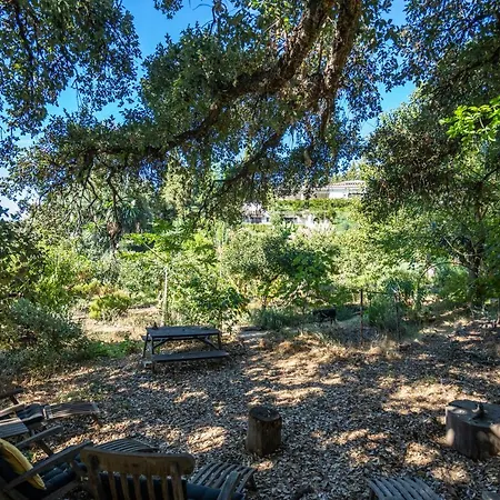 A Natural Retreat Guest house