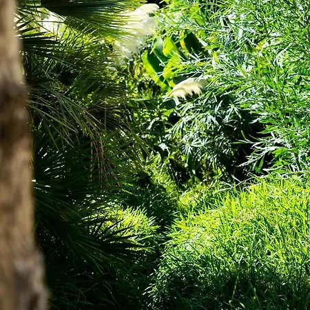 A Natural Retreat * Mijas