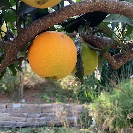 A Natural Retreat * Mijas